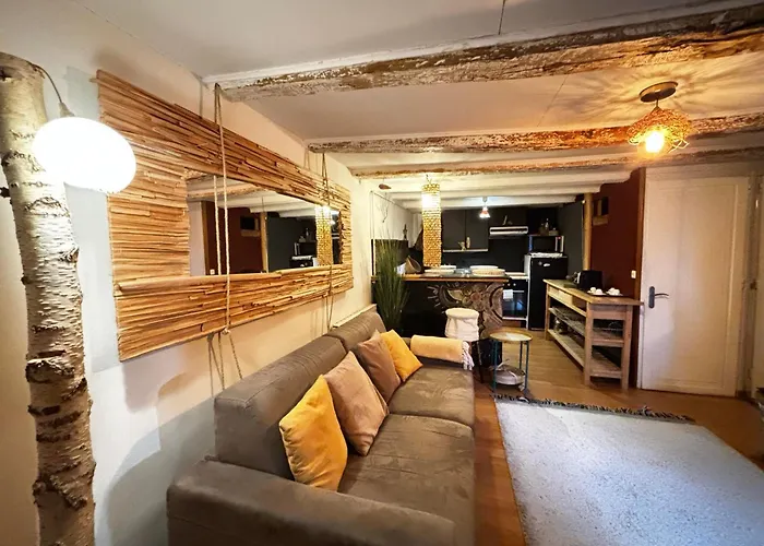 T3 Boheme - Vieille Ville Annecy